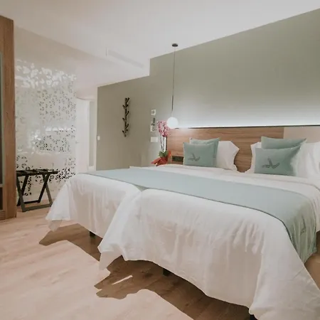 Hotel Catalina Plaza Sostenible-2
